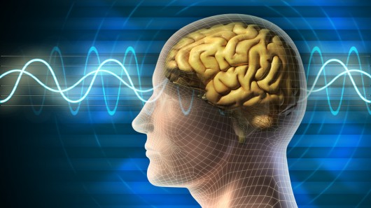 EEG og hjernebølger
