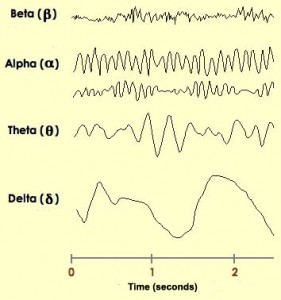 De forskjellige typene hjernebølgemønstre