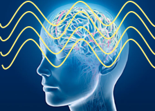 EEG koherens og orden i hjernen