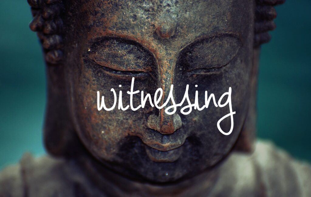 Witnessing Buddha